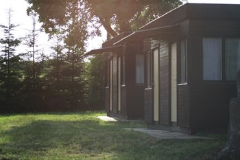 cabins in the camp Dřevěnice