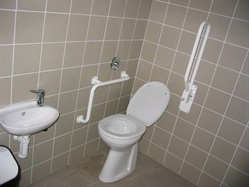 Barrier-free toilet with grab rails