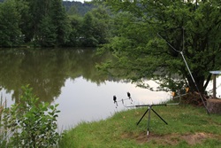Fishing rods on the pond shore