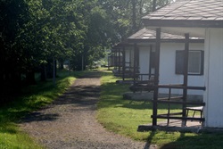 Forest path between the cabins