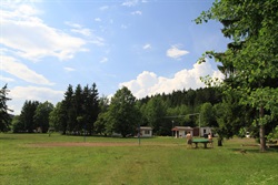 Grassy camp area by the forest