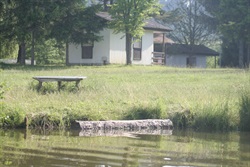 Meadow with a ping-pong table and a cabin by the pond