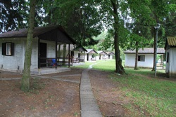 Path between the cabins and trees