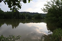 Pond surface reflecting the sky and trees