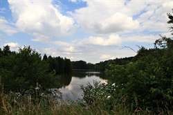 Pond surrounded by forest under a cloudy sky