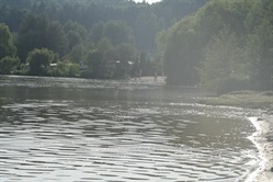 Shallow bay of the pond